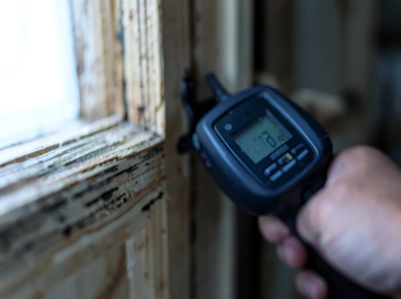 Moisture Inspection And Documentation in Linden, PA